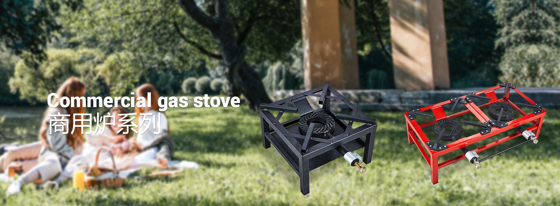 Commercial gas stove